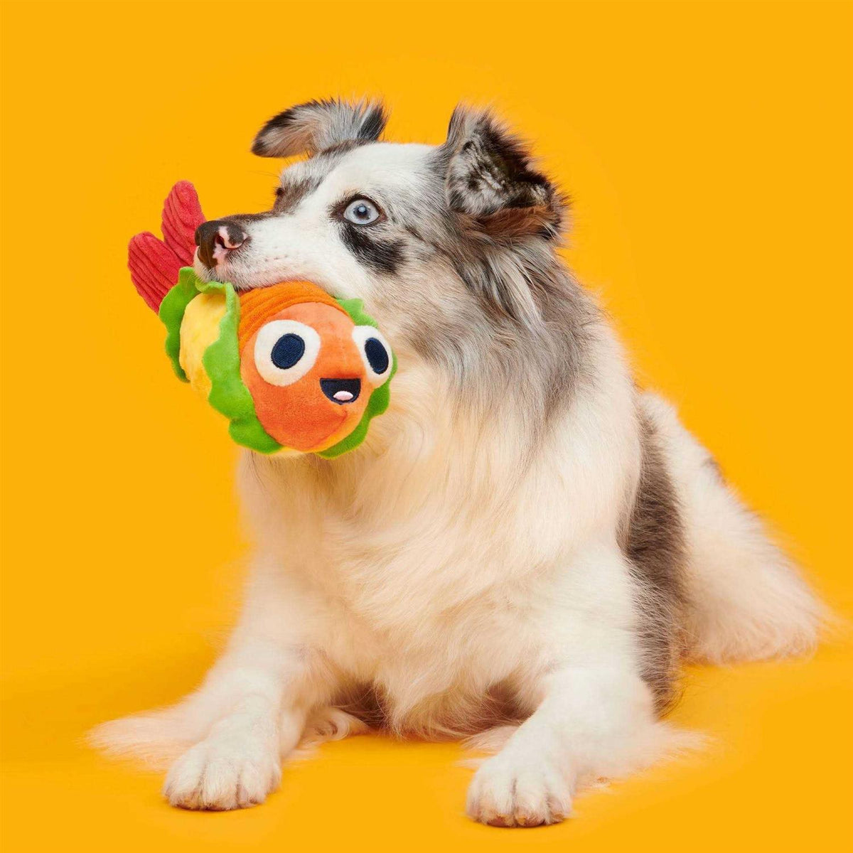 Shrimp Taco Dog Toy B6020