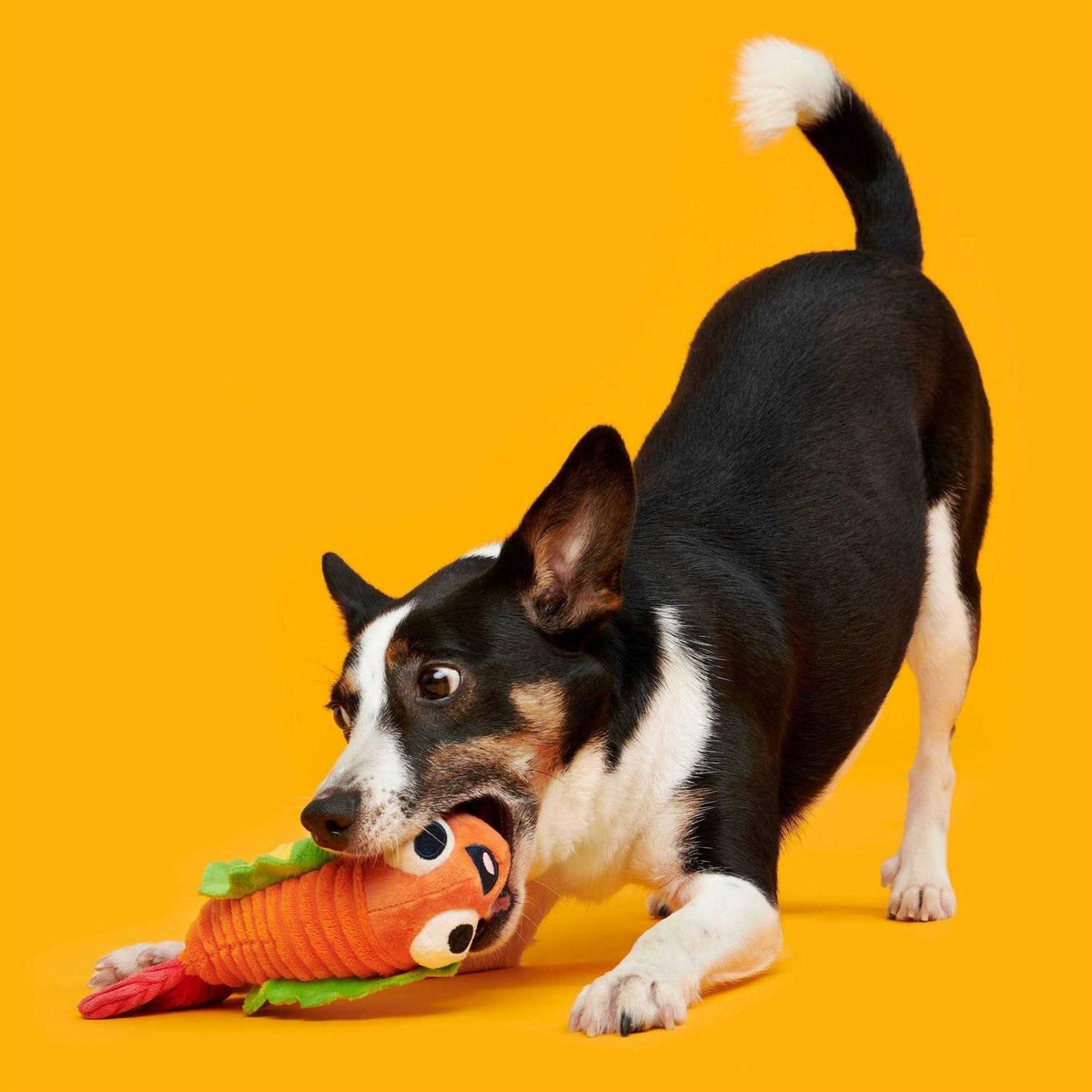 Shrimp Taco Dog Toy B6020