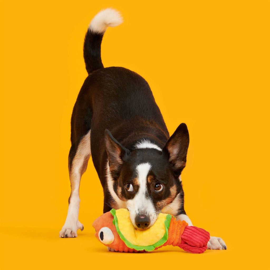 Shrimp Taco Dog Toy B6020