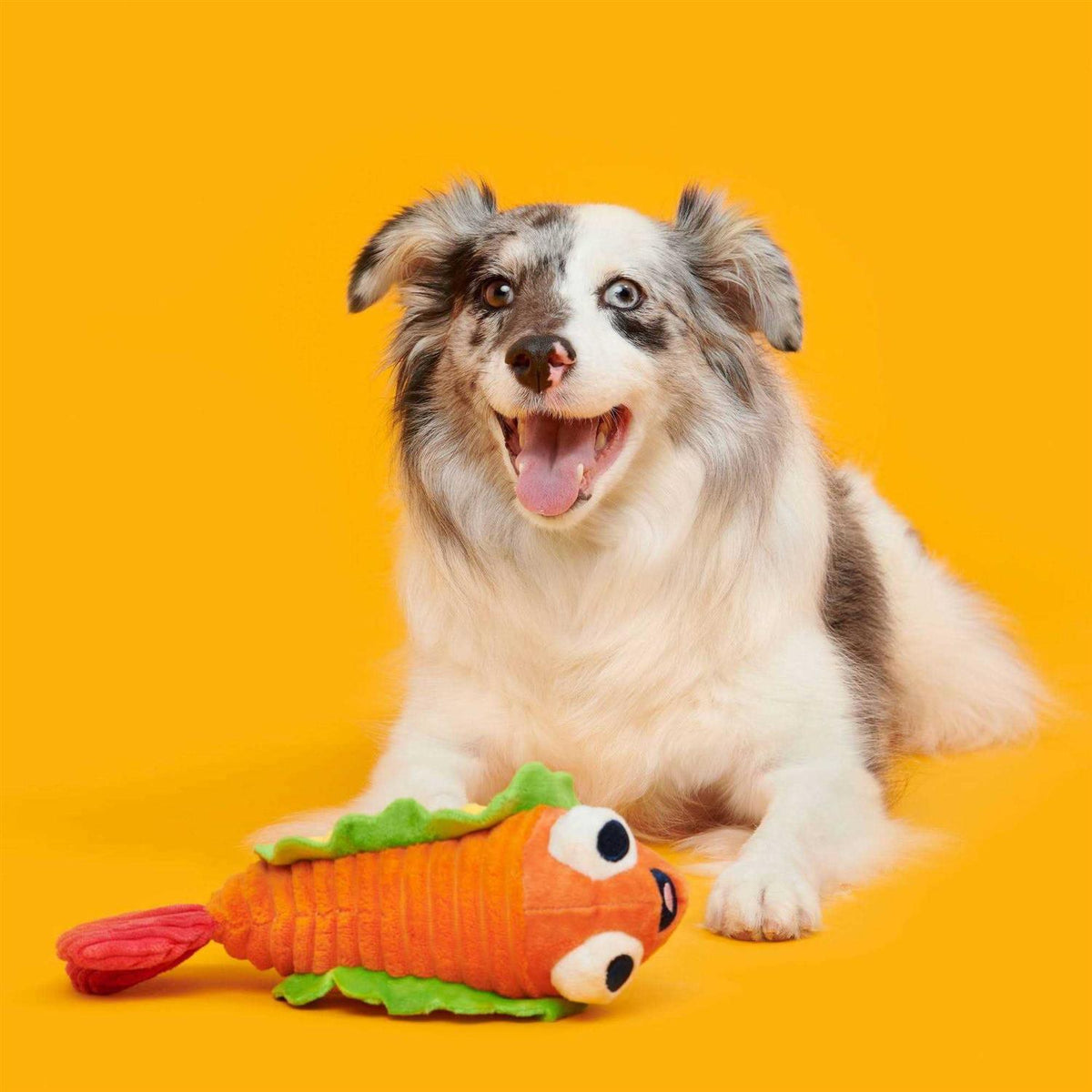Shrimp Taco Dog Toy B6020